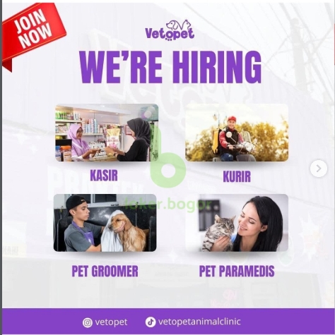 Loker Pet groomer